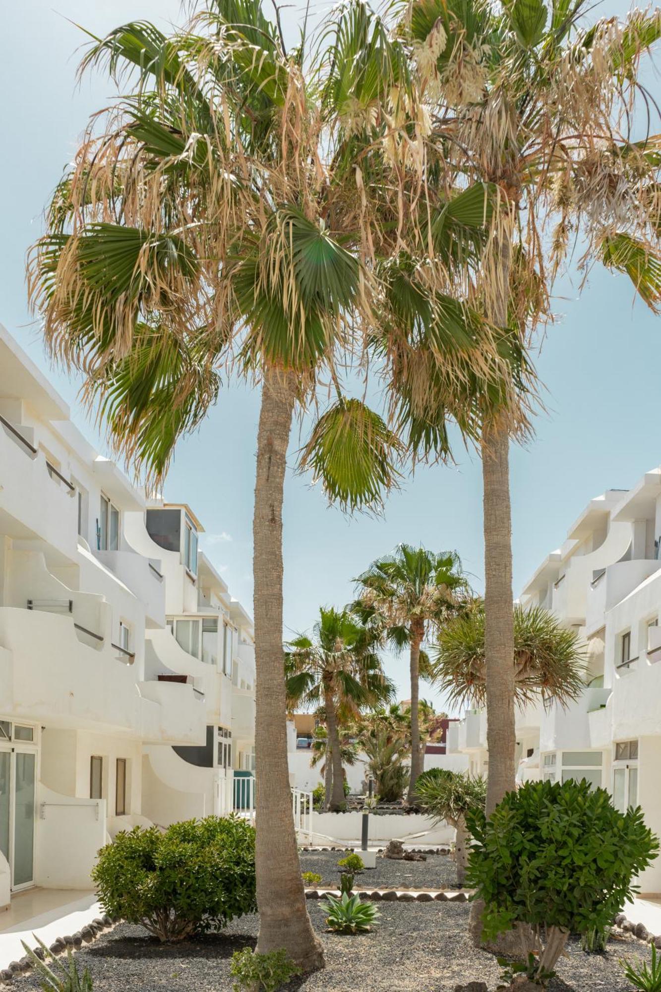 דירות קוסטה דה אנטיגואה Casa Maja מראה חיצוני תמונה